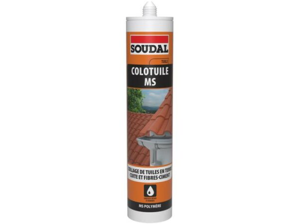 MASTIC MS COLOTUILE 290 ML